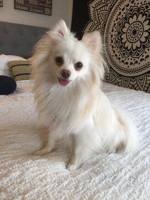 photo of Jazzmine W.