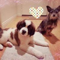 photo of Margaret A.