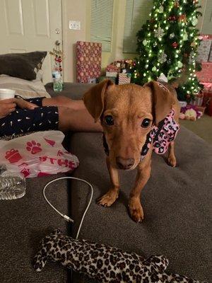 Photo of Michelle C.