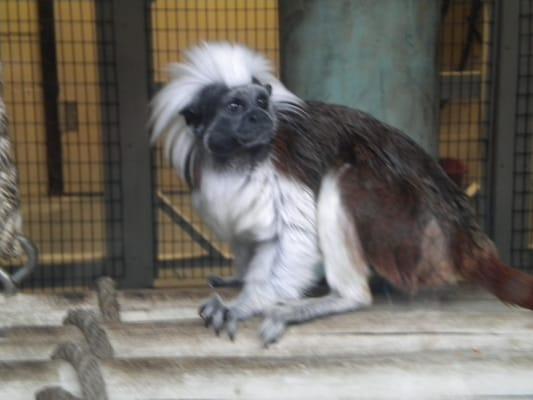 photo of Christina W.