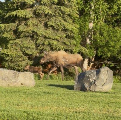 photo of After Action R.