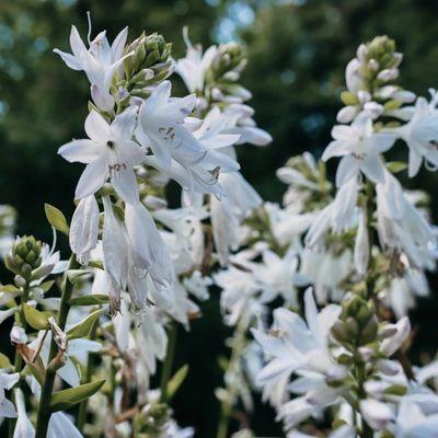 Photo of Danielle E.