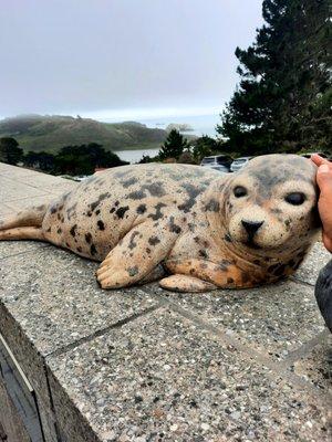 photo of Danielle S.