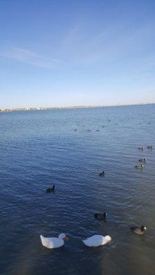 Photo of Margaret W.