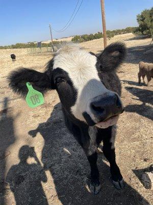 Photo of Elizabeth R.