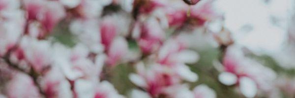 photo of Cassandra C.