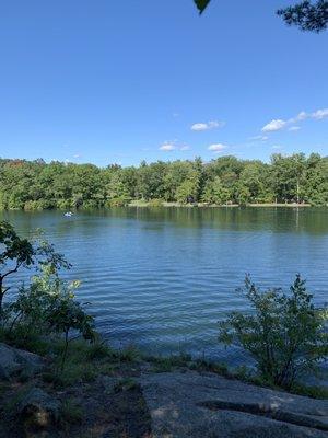 photo of Michelle M.