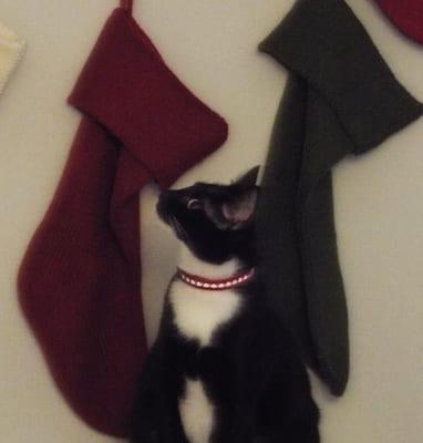 photo of Jennifer S.