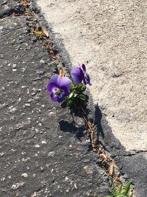 photo of Kristina I.