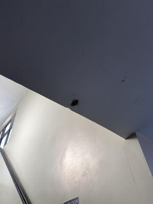 photo of Andrea D R.