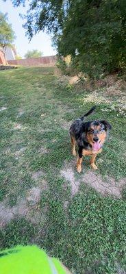 Photo of Makenzie O.