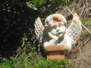 photo of Kathleen C.