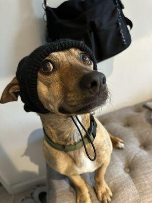 photo of Priscilla M.