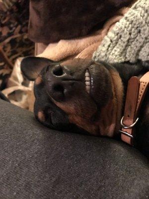 photo of TexaSicilian B.