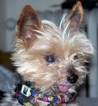 photo of Christine J.