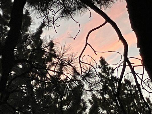 Photo of Courtney M.