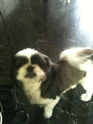 Photo of Pixie P.