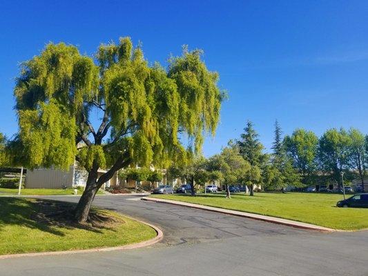 Photo of Enviroview I.