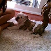 photo of Jonathan P.