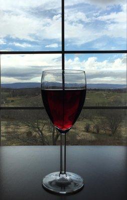 Photo of Observer D.