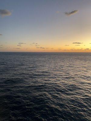 photo of Cassandra O.