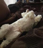 Photo of Nicholas L.