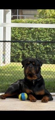 Photo of Reese M.