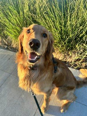 photo of Samantha N.