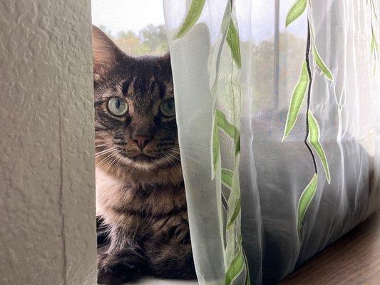 Photo of Tabitha V.
