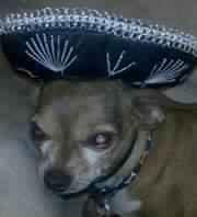 photo of Sharlene W.