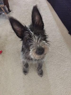 Photo of Piper S.