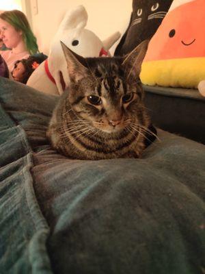 photo of Elizabeth I.