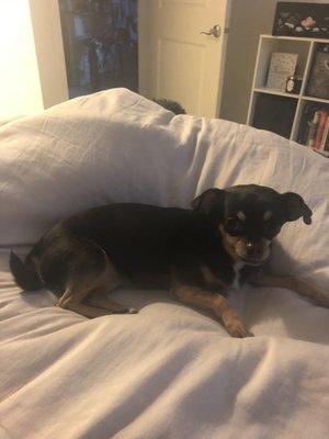 Photo of Bella M.