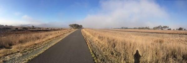 photo of Queen X.O. X.