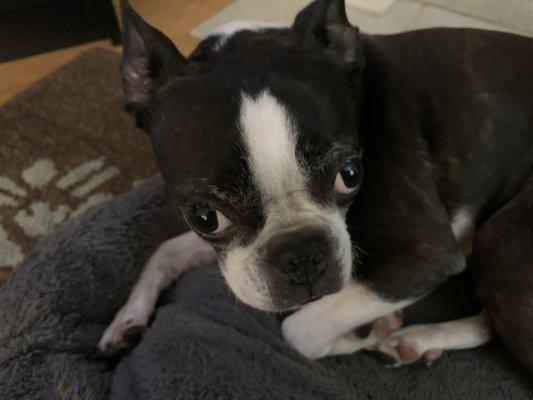 photo of stephanie b.