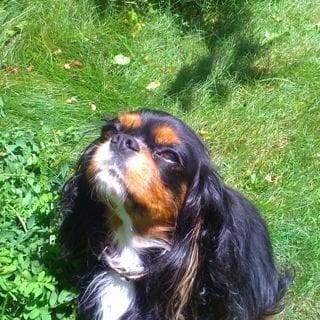 Photo of Michelle O.