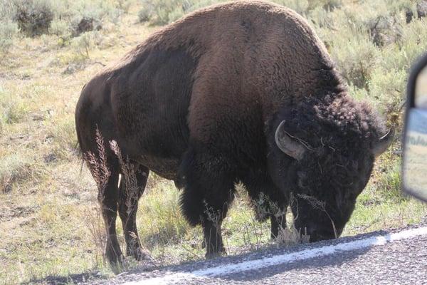 photo of Mitchell R.