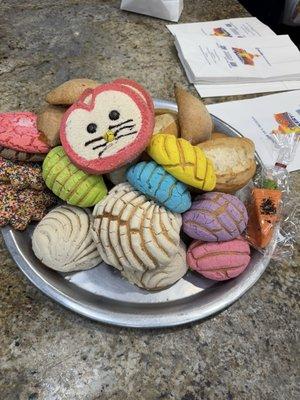 Photo of Alexandra S.