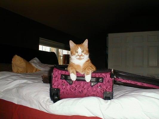 Photo of Caroline B.