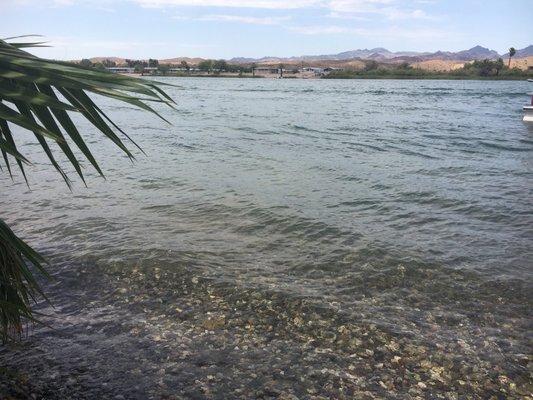 photo of Jashinta D.