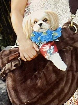 Photo of Ruby D.