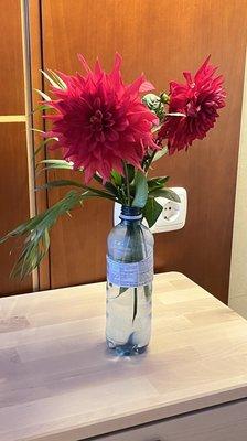 photo of Prysilla M.