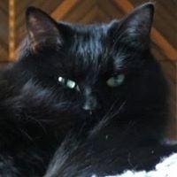 Photo of Pamela L.
