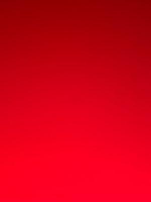 photo of Elizabeth K.