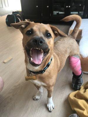 photo of Elizabeth G.