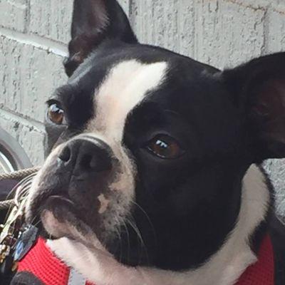 photo of Patricia S.