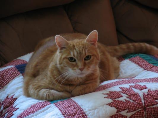 Photo of Kathy N.