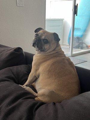 Photo of Alexandra S.