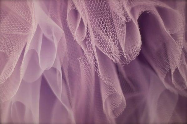 Photo of Elizabeth K.