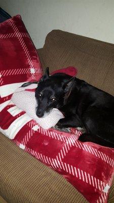 photo of Stephanie F.